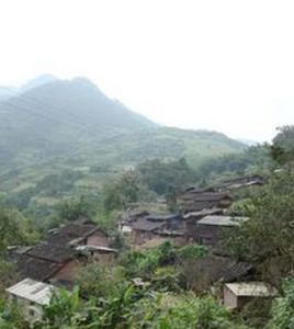 千崗自然村 千崗自然村