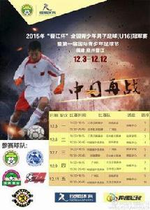 2015年全國青少年男子足球冠軍賽 2015年全國青少年男子足球冠軍賽