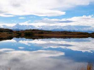 迪納利國家公園 迪納利國家公園