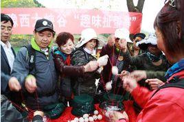 扯蛋大賽 扯蛋大賽