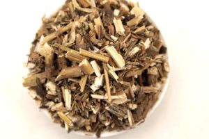 慈砂龍芽 慈砂龍芽