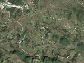 金盆苗族彝族鄉 金盆苗族彝族鄉