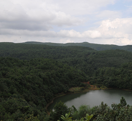 隆莊天池 隆莊天池