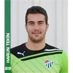 哈倫·泰金 哈倫·泰金