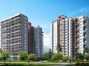 榮盛陽光新城一期 榮盛陽光新城一期