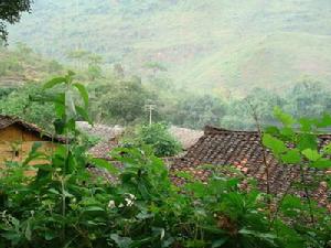 上董湖自然村 上董湖自然村