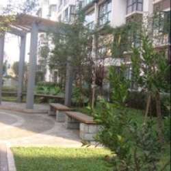 江安河畔 江安河畔