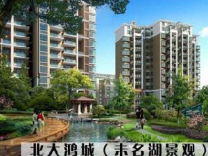 北大鴻城 北大鴻城