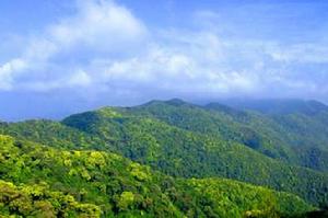 靈寶山國家森林公園