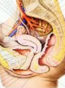 盆腔炎症 盆腔炎症