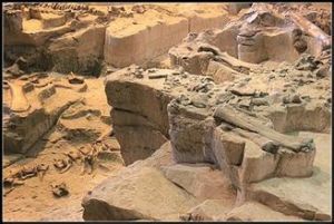 大山鋪恐龍生物群遺蹟 大山鋪恐龍生物群遺蹟