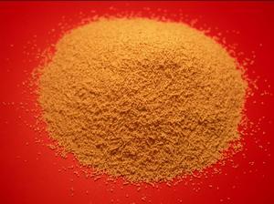 石蕊放線菌 石蕊放線菌