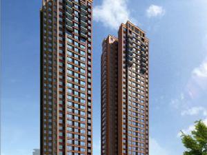 西盟公社 西盟公社