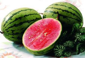 鹽池西瓜 鹽池西瓜