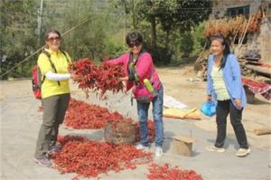 宋家崗村 宋家崗村