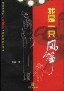 我是一隻風箏[小說我是一隻風箏]