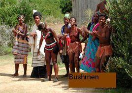 Bushman Bushman