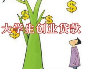 大學生自主創業貸款 大學生自主創業貸款