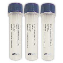 核酸外切酶 核酸外切酶