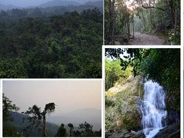 海南興隆僑鄉國家森林公園 海南興隆僑鄉國家森林公園