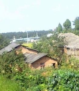 中麒麟村 中麒麟村