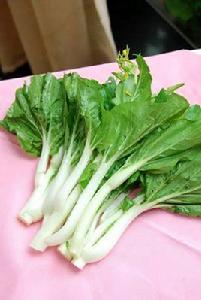 水口白菜 水口白菜