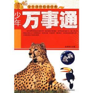 少年萬事通 少年萬事通