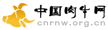 中國肉牛網 中國肉牛網