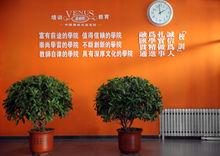 維納斯化妝攝影學校環境