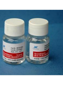 糜蛋白酶 糜蛋白酶