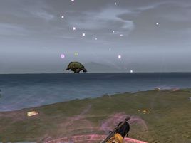 《會飛的海龜》 《會飛的海龜》