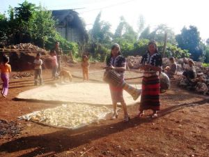 回良老寨村 回良老寨村