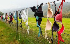 胸罩柵欄 胸罩柵欄