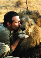 狂野非洲[2014年上映紀錄片電影]