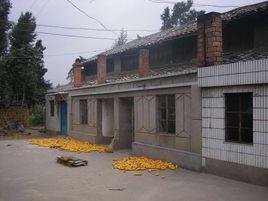 張安屯村 張安屯村