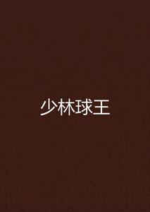 少林球王 少林球王
