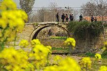 中陳郝石拱橋 中陳郝石拱橋