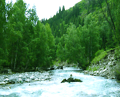 哈日圖熱格 哈日圖熱格