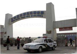 宜昌野生動物園 宜昌野生動物園