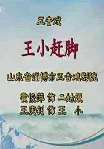 王小趕腳 王小趕腳