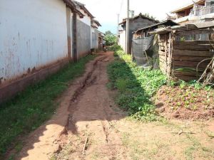 牛筋木村 牛筋木村