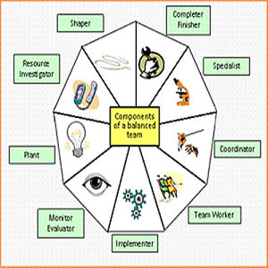 貝爾賓團隊角色理論