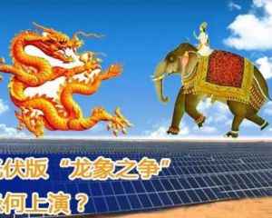 龍象之爭 龍象之爭