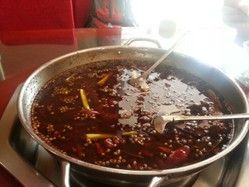 賽康美蛙魚頭 賽康美蛙魚頭