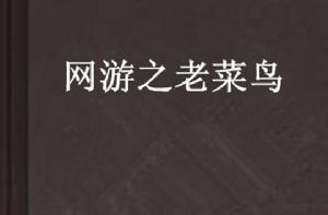 網遊之老菜鳥 網遊之老菜鳥
