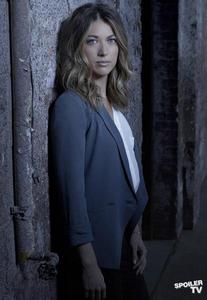 追隨[2013年起馬科斯·西恩加執導美國電視劇]