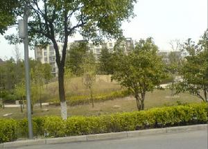 好世櫻園小區圖