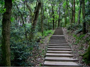德山公園 德山公園