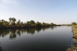 拉斯奎鎮 拉斯奎鎮