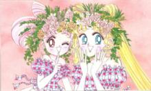 月野兔與小小兔